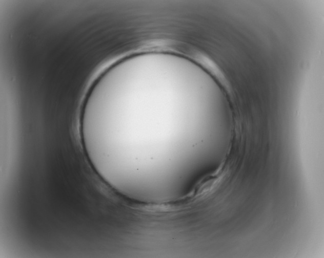 X0000103251336200809181556