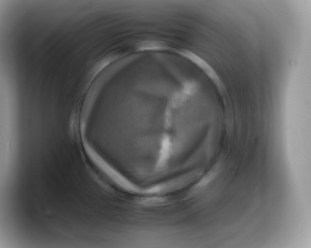 X0000103251337200809181556