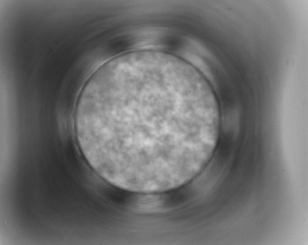 X0000103251338200809181556