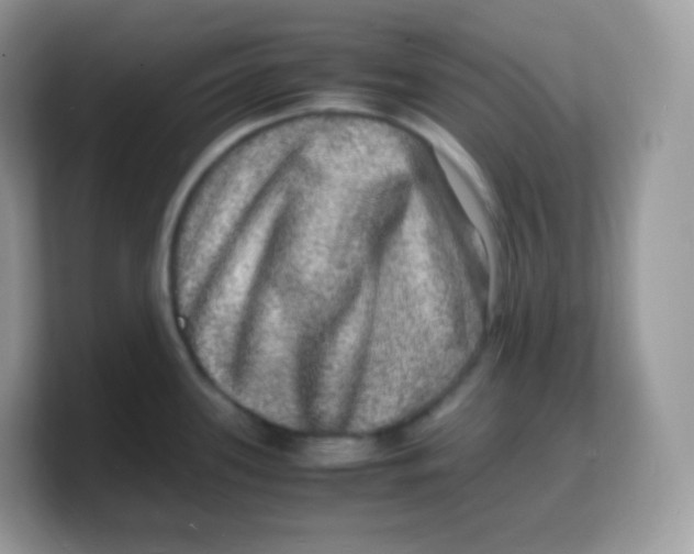 X0000103251339200809181556