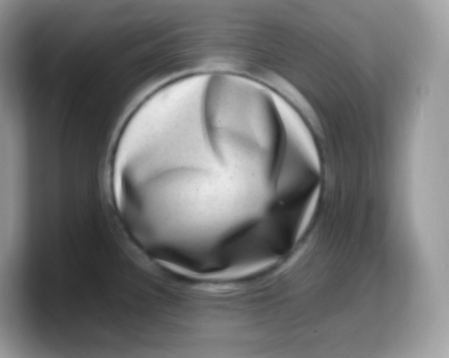 X0000103251340200809181556