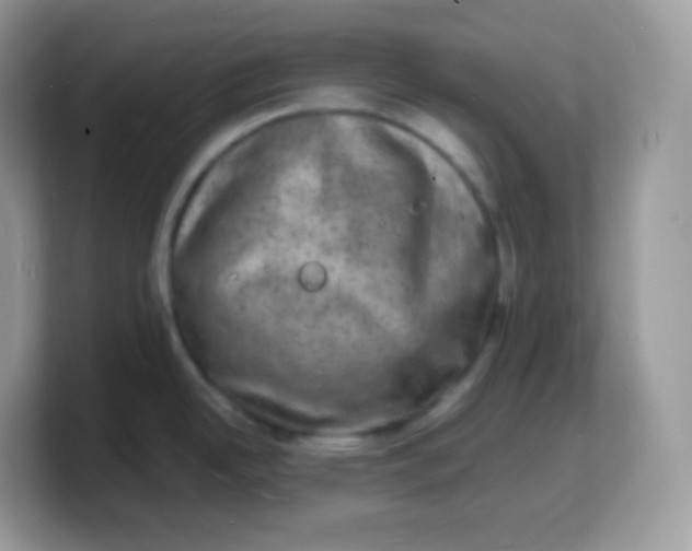X0000103251342200809181556