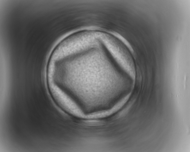X0000103251343200809181556