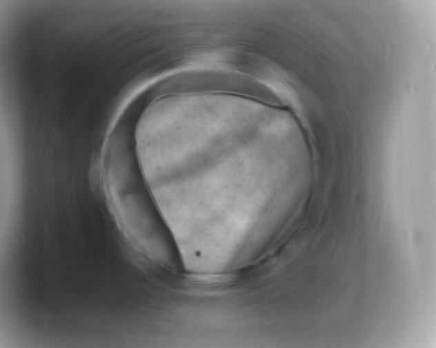 X0000103251344200809181556