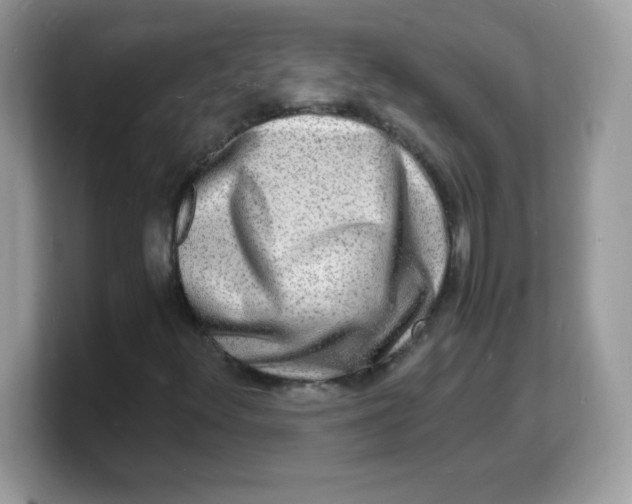 X0000103251348200809181556