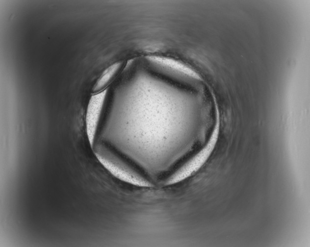 X0000103251349200809181556