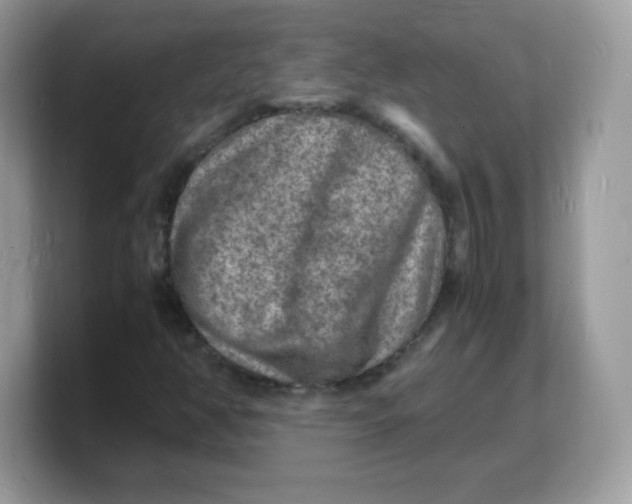 X0000103251350200809181556