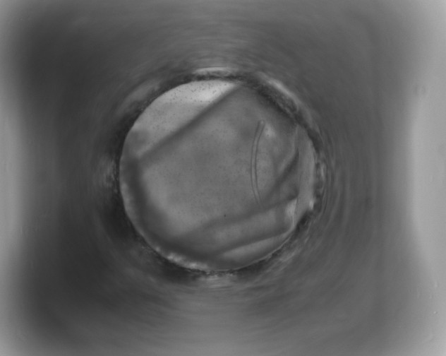 X0000103251351200809181556