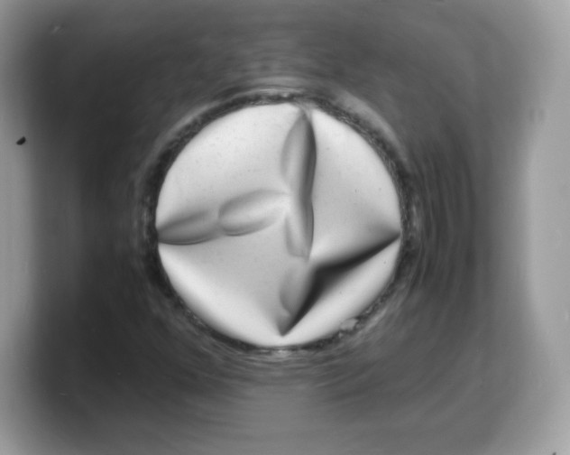 X0000103251352200809181556