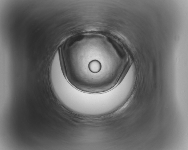 X0000103251353200809181556