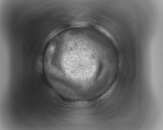 X0000103251354200809181556