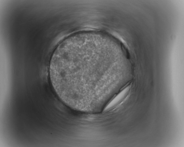 X0000103251355200809181556