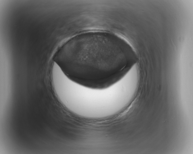 X0000103251357200809181556