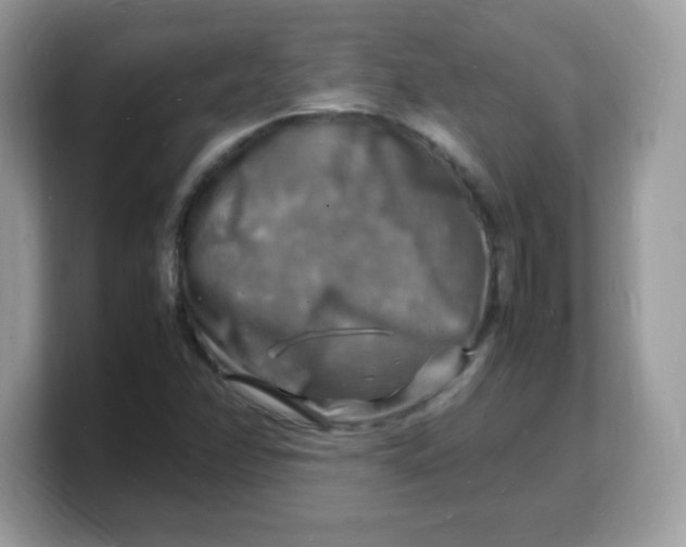 X0000103251358200809181556