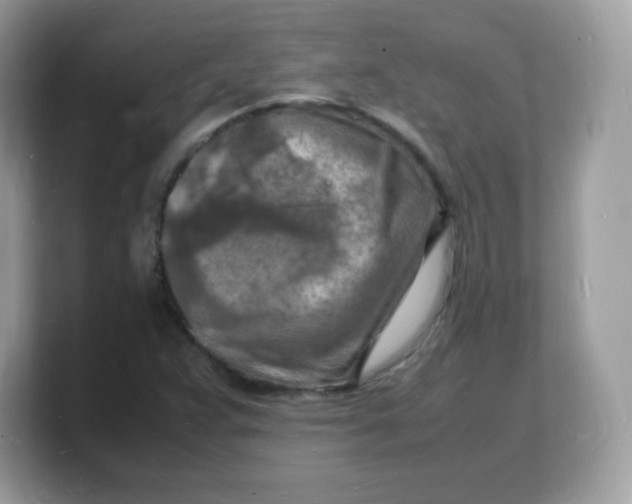 X0000103251359200809181556