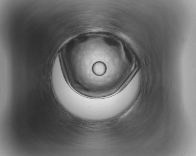 X0000103251361200809181556