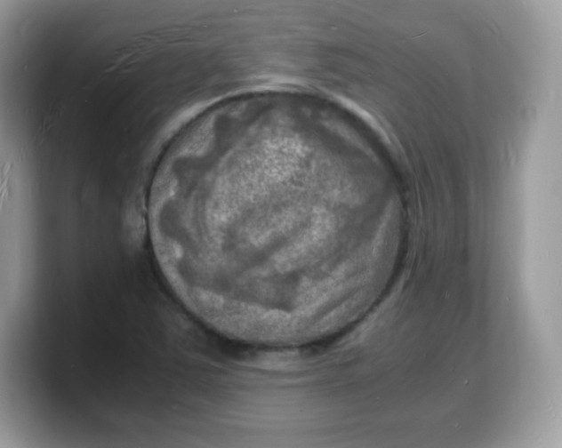 X0000103251363200809181556