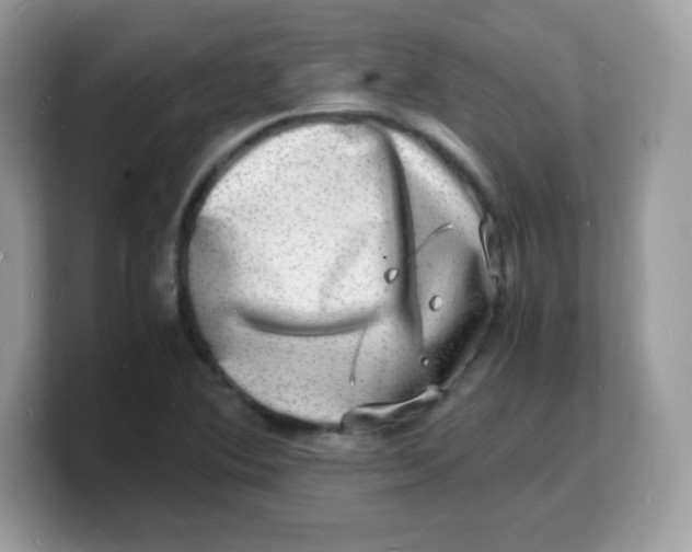 X0000103251364200809181555