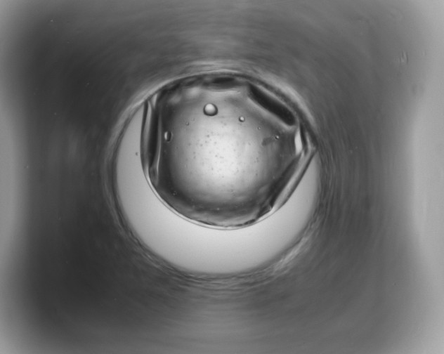 X0000103251365200809181555