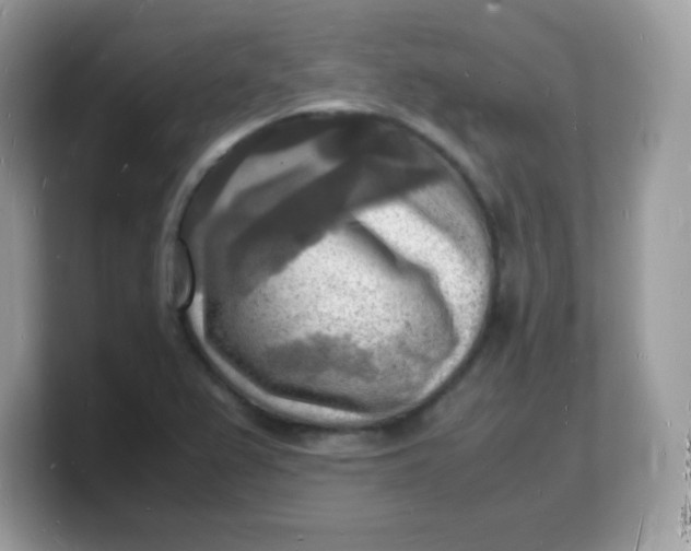 X0000103251367200809181555