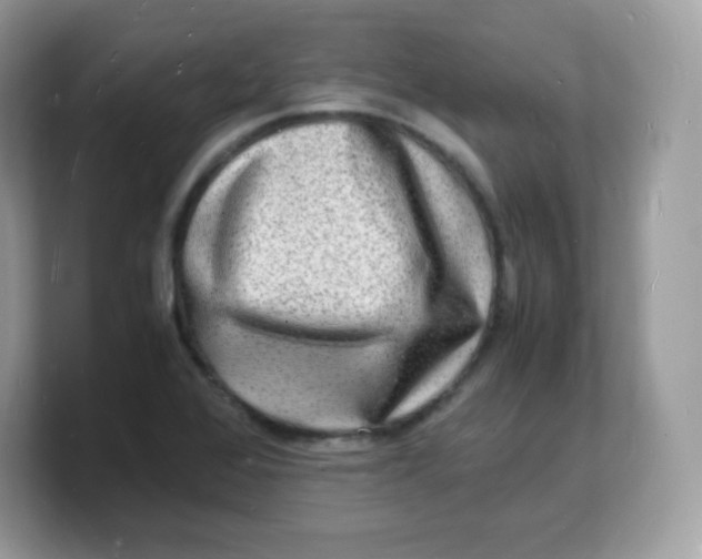 X0000103251368200809181555