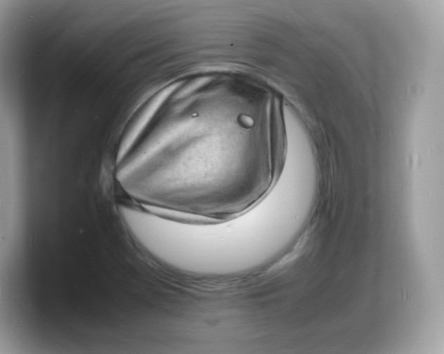 X0000103251369200809181555