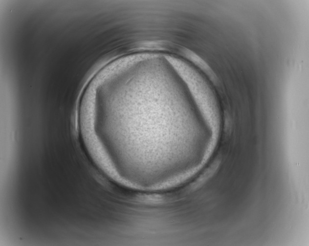 X0000103251370200809181555