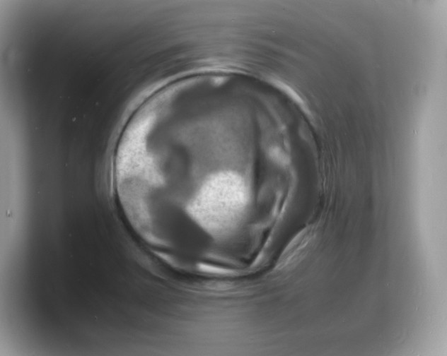 X0000103251371200809181555