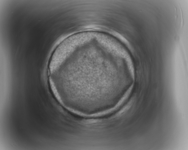 X0000103251373200809181555