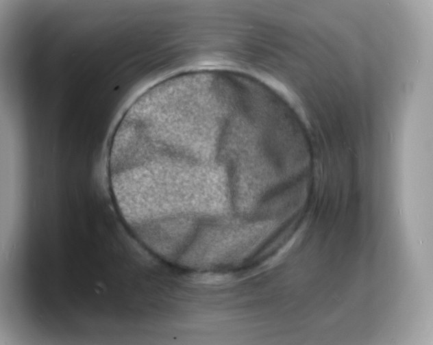 X0000103251374200809181555