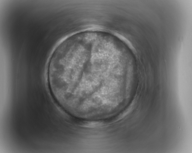 X0000103251375200809181555