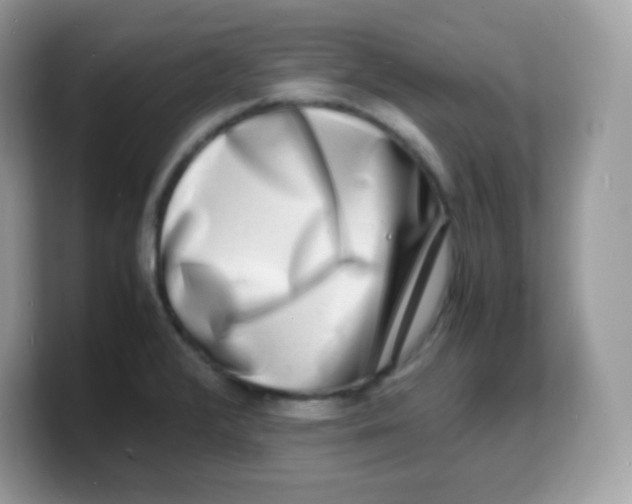 X0000103251376200809181555