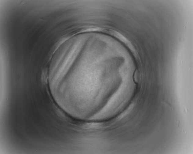 X0000103251377200809181555