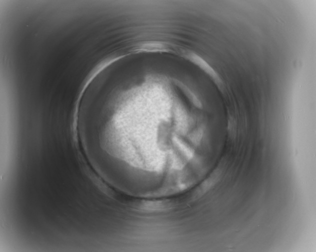 X0000103251378200809181555