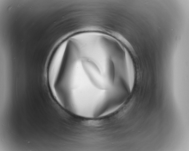 X0000103251380200809181555