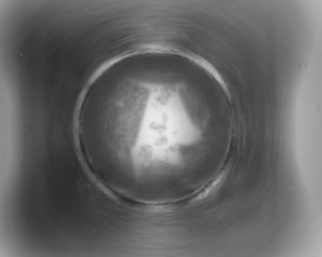 X0000103251381200809181555