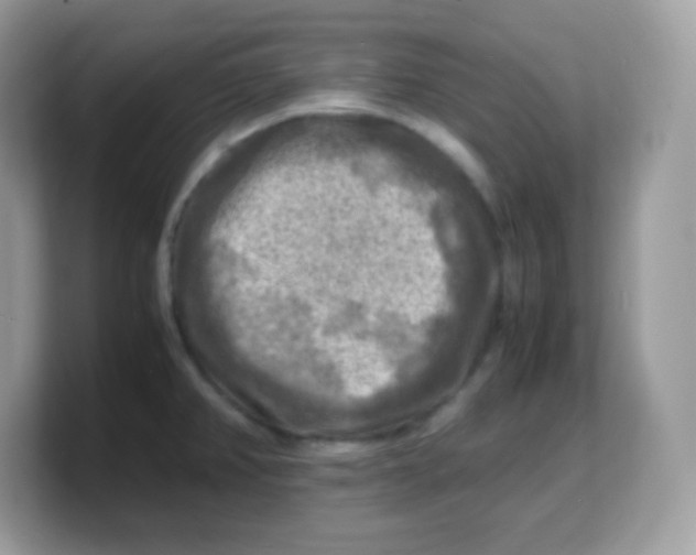 X0000103251382200809181555