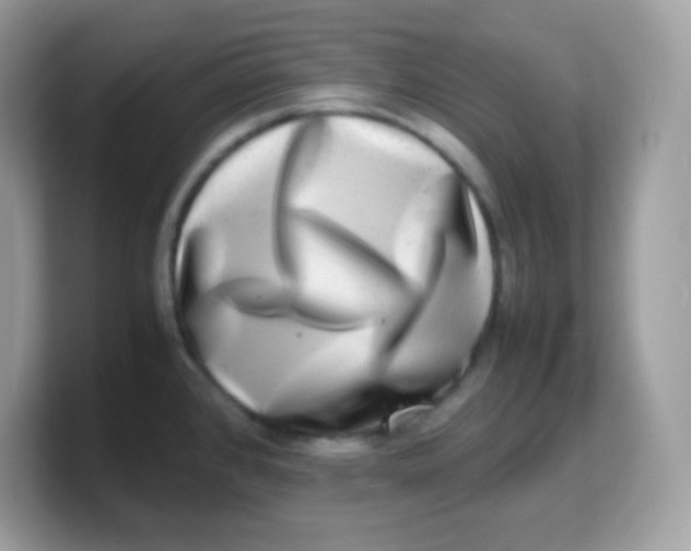 X0000103251384200809181555
