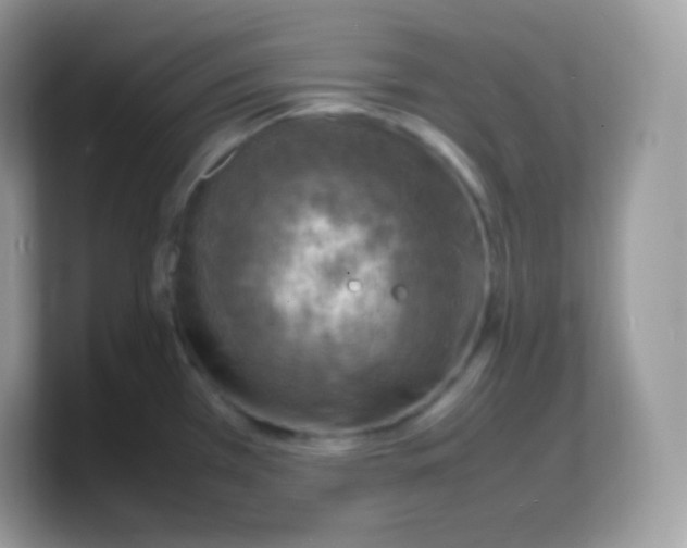 X0000103251385200809181555