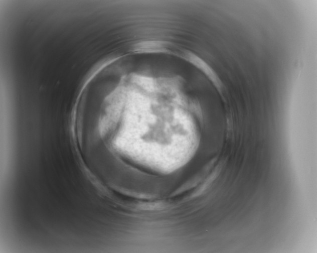 X0000103251386200809181555