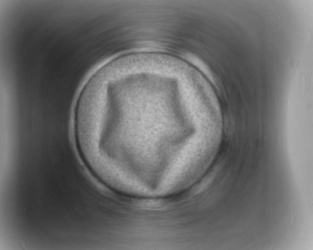 X0000103251387200809181555