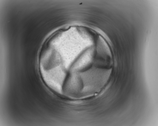 X0000103251388200809181555