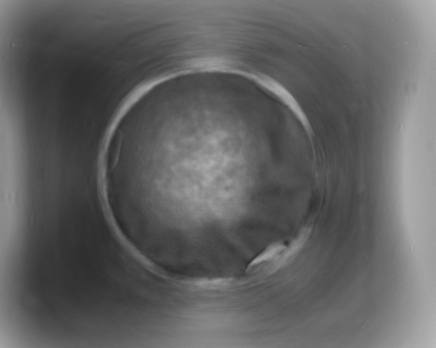 X0000103251389200809181555