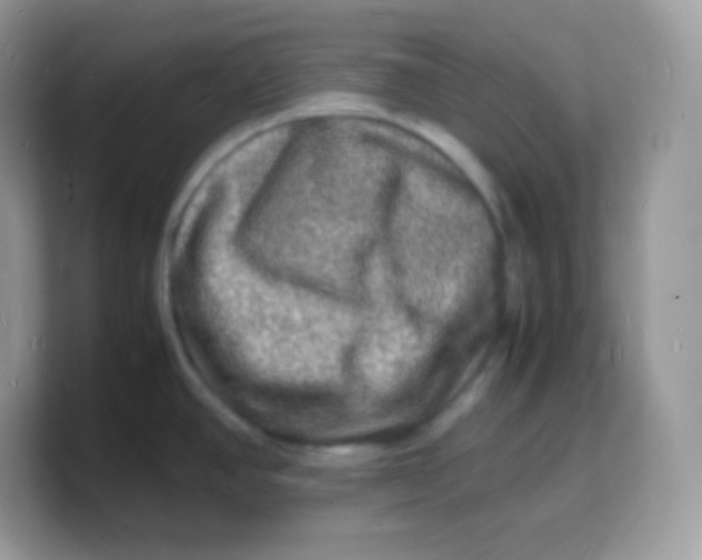X0000103251390200809181555
