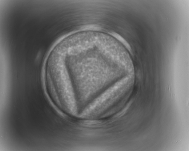 X0000103251391200809181555