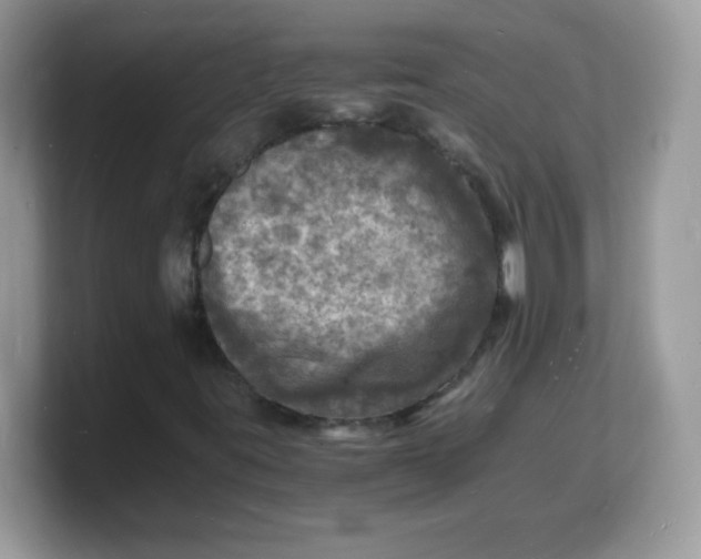 X0000103251395200809181555