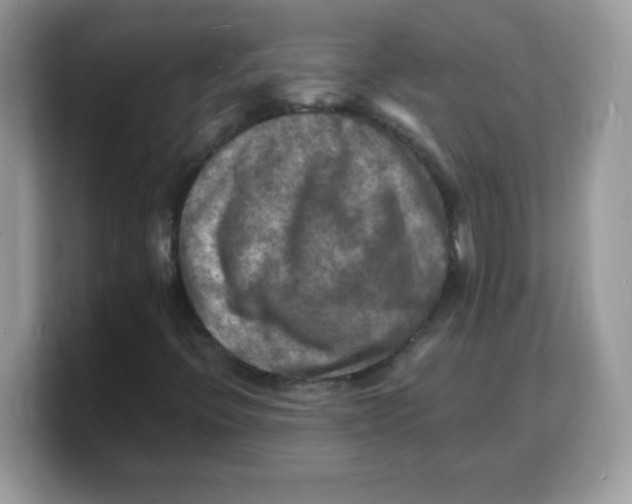 X0000103251396200809181555