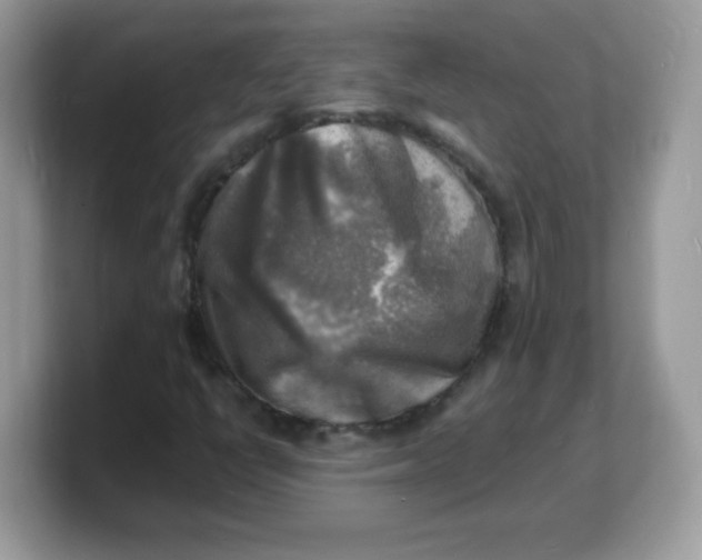 X0000103251398200809181555