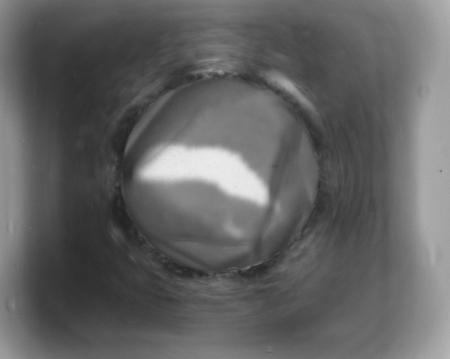 X0000103251399200809181555