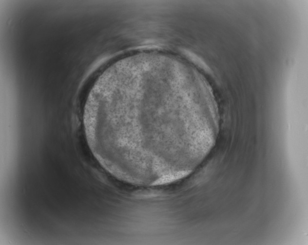 X0000103251400200809181555